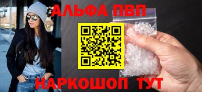 стаф Кингисепп