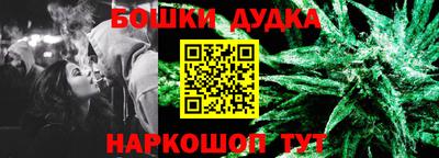 стаф Кингисепп