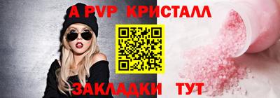 стаф Кингисепп