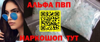 стаф Кингисепп