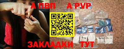 стаф Кингисепп