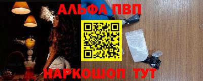 стаф Кингисепп