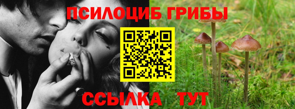 Котельники  Галлюциногенные грибы Psilocybine cubensis  Вход с VPN  Псилоцибиновые грибы Magic Shrooms 