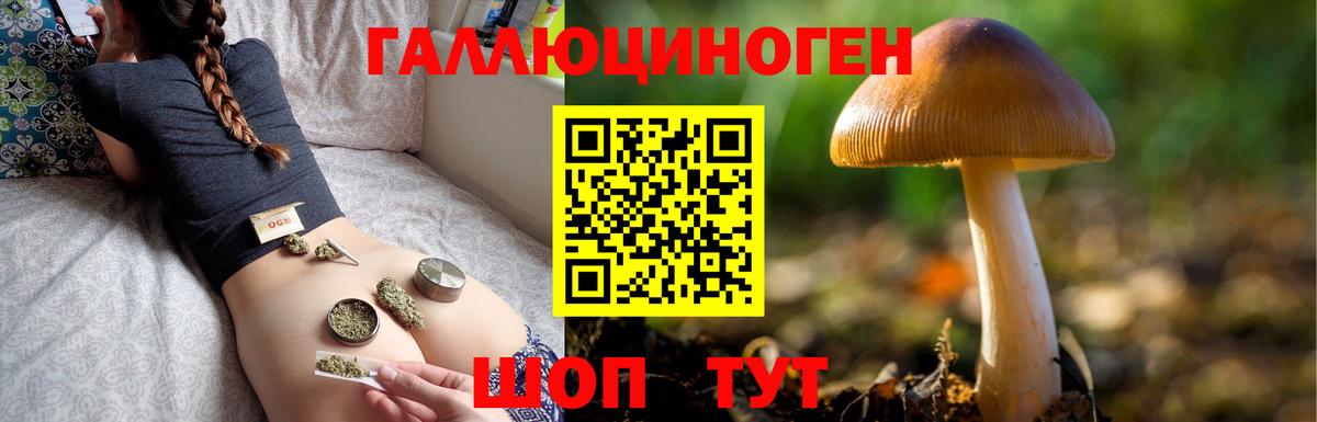 Псилоцибиновые грибы Psilocybe Котельники